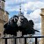 Odin and Thor, two of the famed ravens at the Tower of London, Tower of London, London (Photo by Colin)