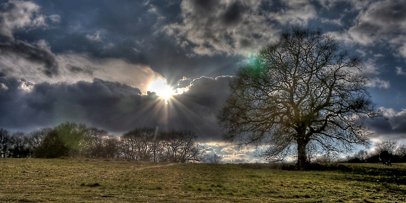 The lovely Hampstead Heath in North London (Photo by Olivier)