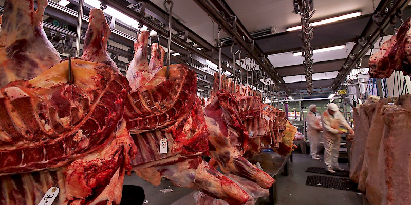 Butchers at work in Smithfield Market (Photo by Jorge Royan)