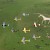 An air formation of de Havilland Tiger Moths, Alton Barnes white horse, Salisbury and Stonehenge (Photo by Geoff Collins)